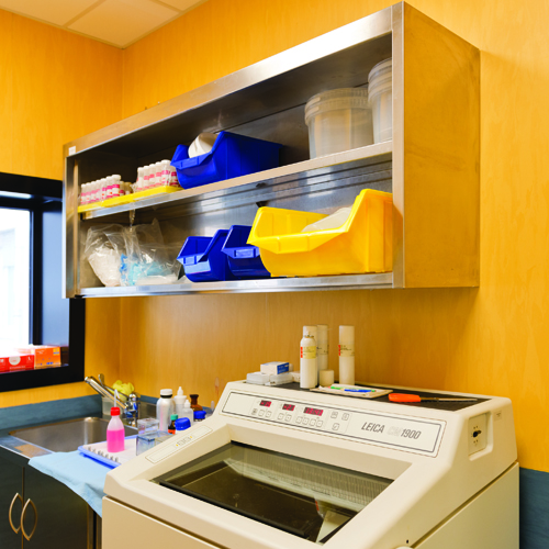 Esame istologico Montallegro