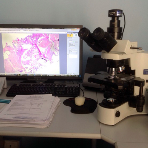 Citoistopatologia (anatomia patologica)